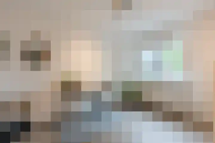 Berkenlaan 5 Nieuwleusen thumbnail 21