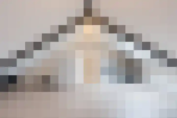 Berkenlaan 5 Nieuwleusen thumbnail 25