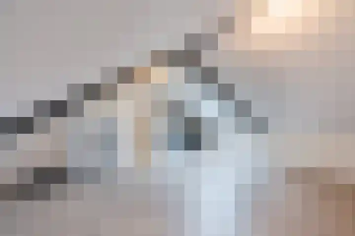 Berkenlaan 5 Nieuwleusen thumbnail 26