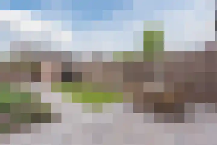 Berkenlaan 5 Nieuwleusen thumbnail 29