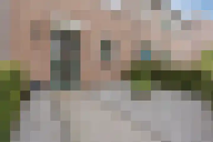 Berkenlaan 5 Nieuwleusen foto 3
