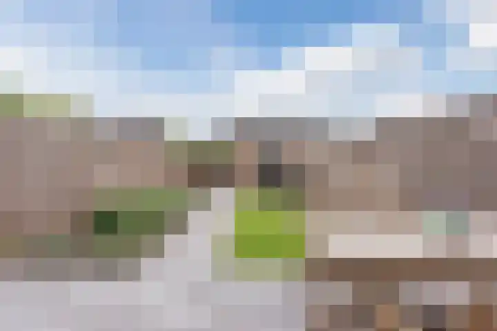Berkenlaan 5 Nieuwleusen thumbnail 30