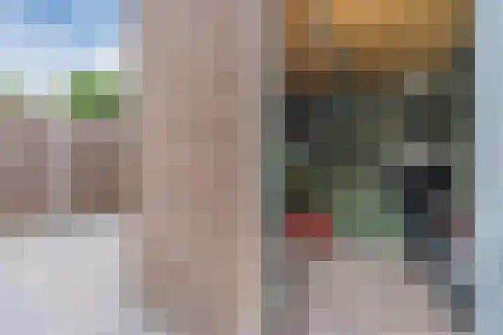 Berkenlaan 5 Nieuwleusen thumbnail 32