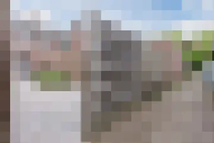 Berkenlaan 5 Nieuwleusen thumbnail 33