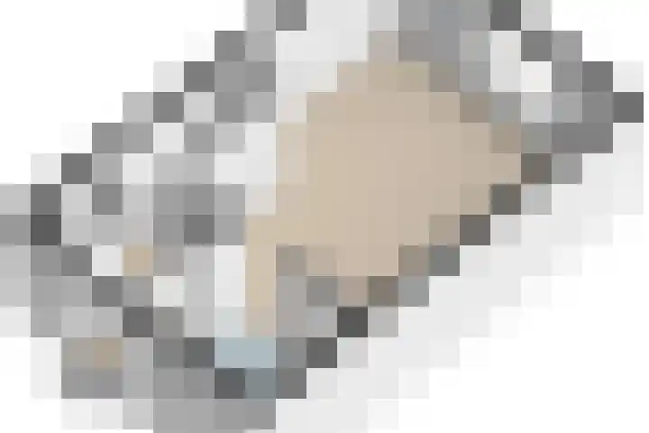 Berkenlaan 5 Nieuwleusen thumbnail 39