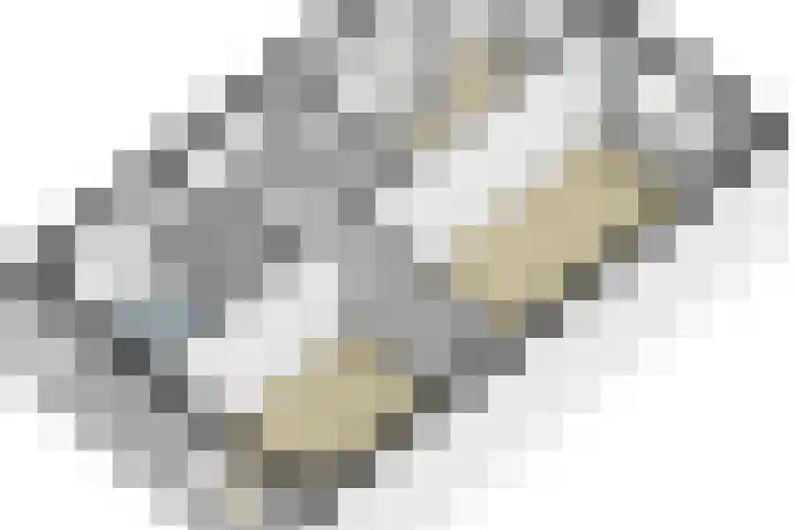 Berkenlaan 5 Nieuwleusen thumbnail 41