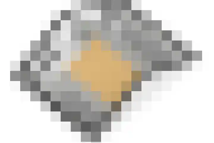 Berkenlaan 5 Nieuwleusen thumbnail 43