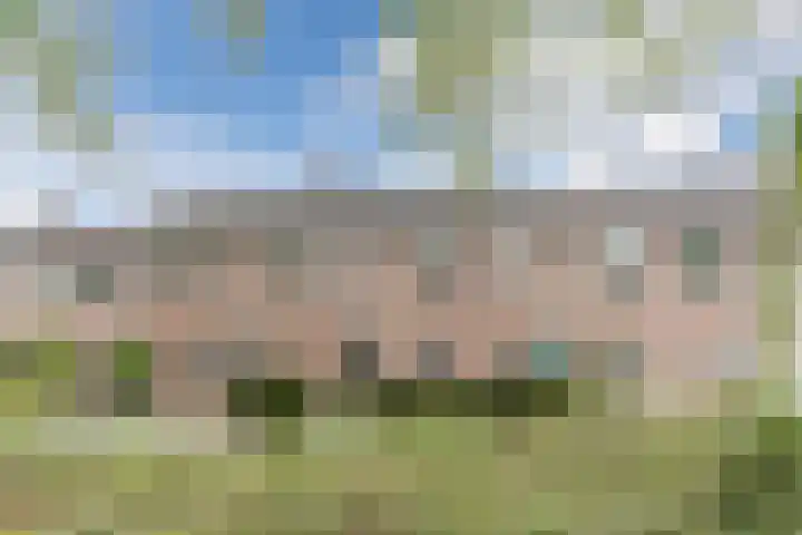Berkenlaan 5 Nieuwleusen thumbnail 46