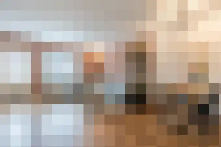 Berkenlaan 5 Nieuwleusen thumbnail 5