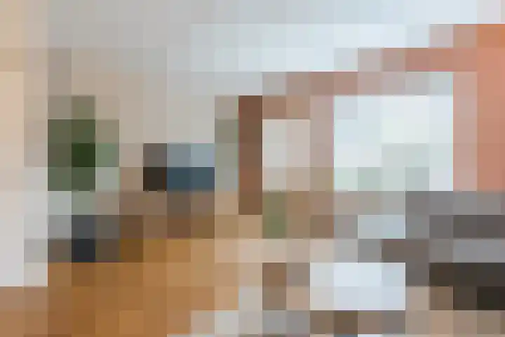 Berkenlaan 5 Nieuwleusen thumbnail 6
