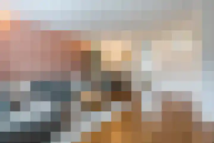 Berkenlaan 5 Nieuwleusen thumbnail 7