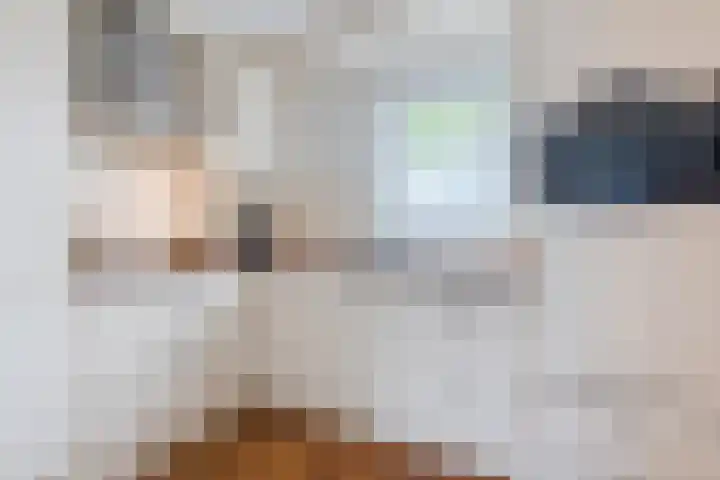 Berkenlaan 5 Nieuwleusen thumbnail 9
