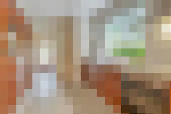 Berkenlaan 5 Rosmalen thumbnail 11