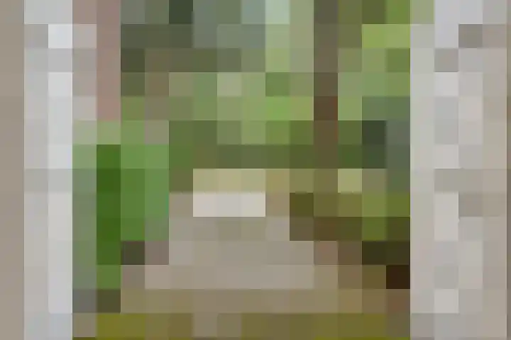 Berkenlaan 5 Rosmalen thumbnail 16