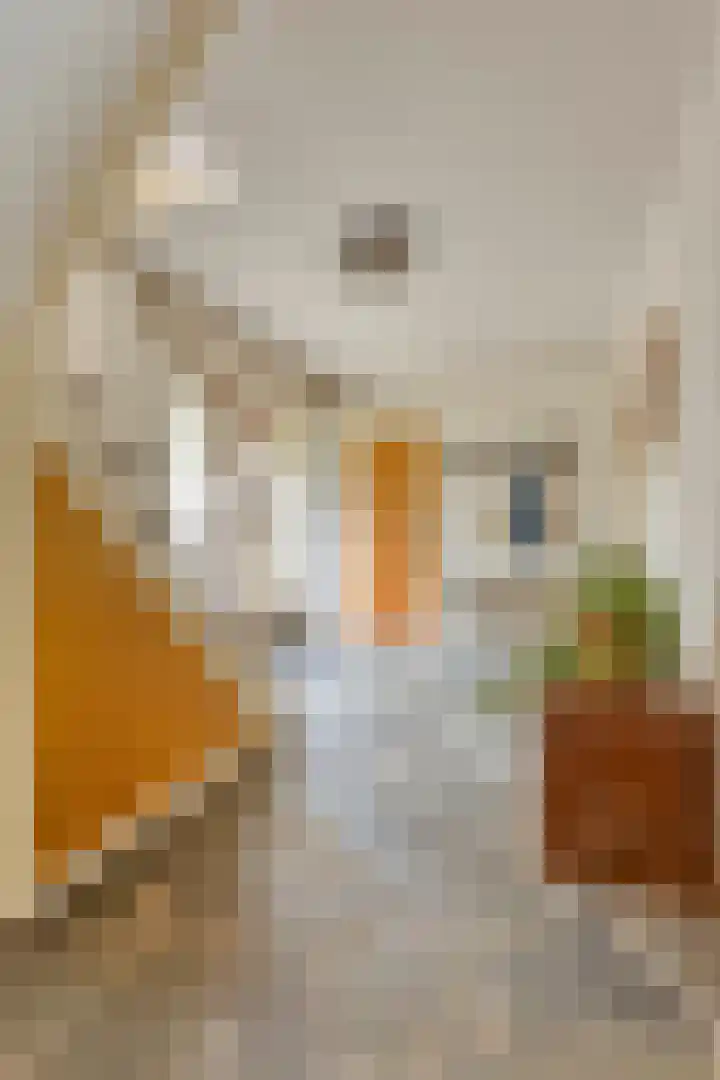 Berkenlaan 5 Rosmalen thumbnail 18