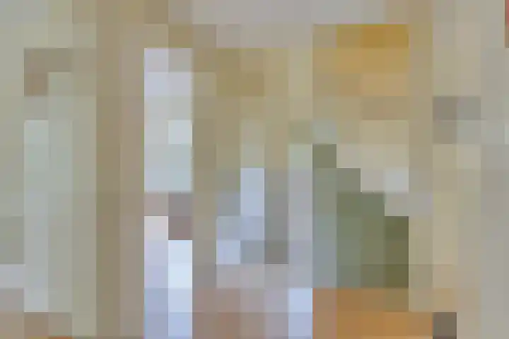 Berkenlaan 5 Rosmalen thumbnail 20