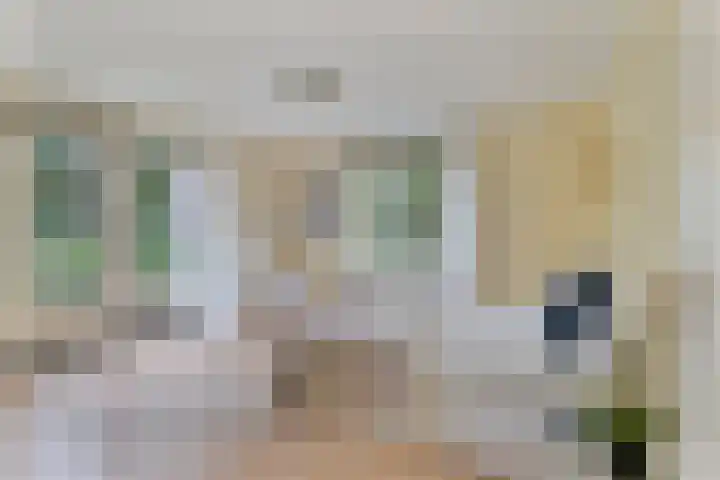 Berkenlaan 5 Rosmalen thumbnail 21
