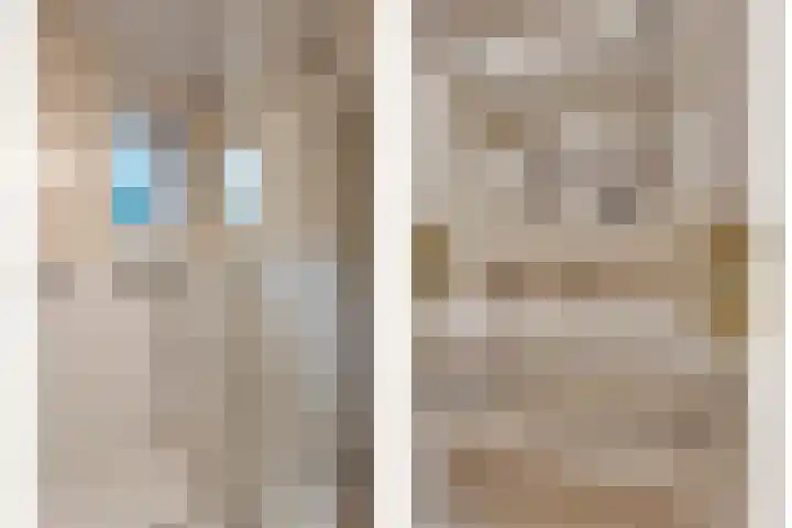 Berkenlaan 5 Rosmalen thumbnail 30