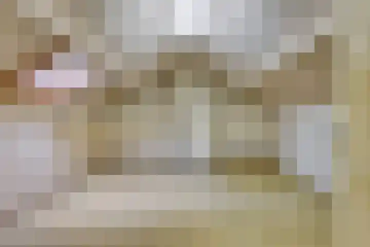 Berkenlaan 5 Rosmalen thumbnail 35