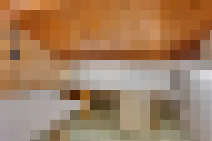 Berkenlaan 5 Rosmalen thumbnail 36