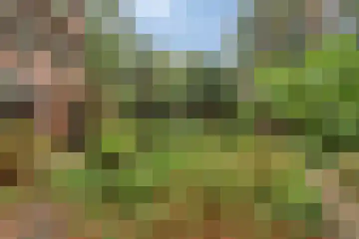 Berkenlaan 5 Rosmalen thumbnail 39