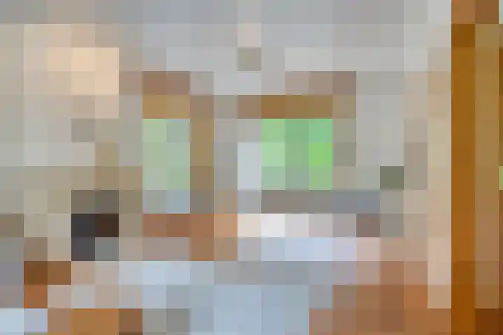 Berkenlaan 5 Rosmalen thumbnail 4