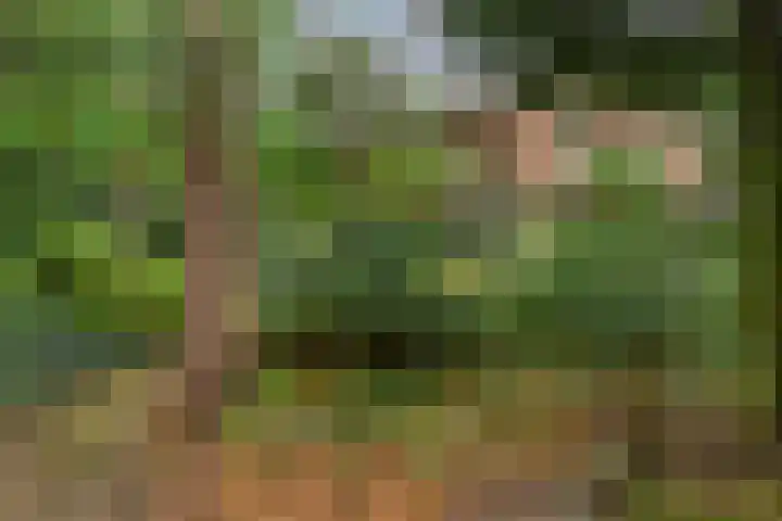 Berkenlaan 5 Rosmalen thumbnail 40