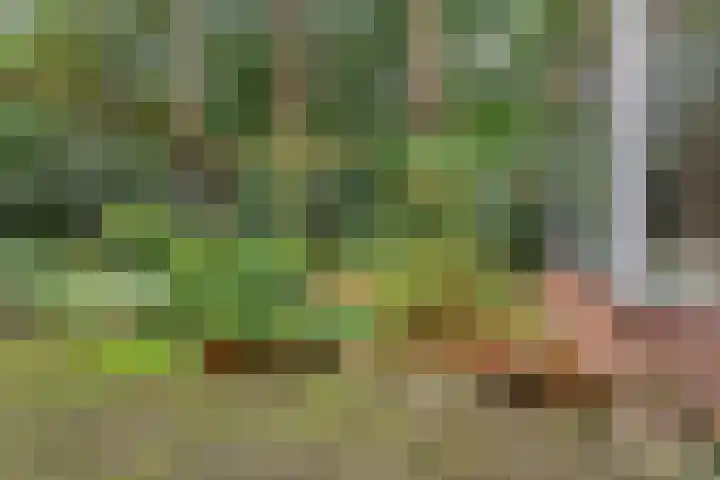 Berkenlaan 5 Rosmalen thumbnail 41