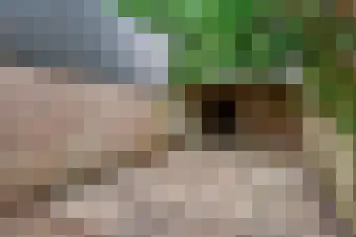 Berkenlaan 5 Rosmalen thumbnail 42