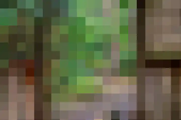 Berkenlaan 5 Rosmalen thumbnail 43