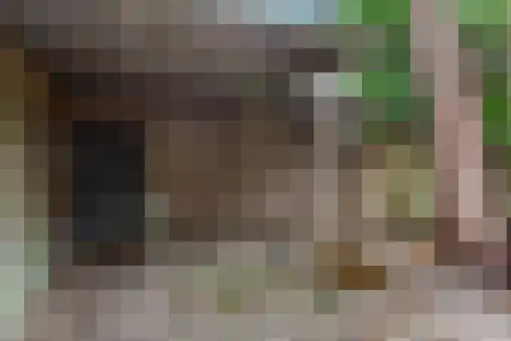 Berkenlaan 5 Rosmalen thumbnail 44