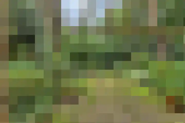 Berkenlaan 5 Rosmalen thumbnail 45