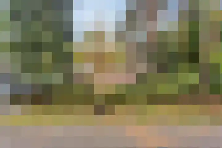 Berkenlaan 5 Rosmalen thumbnail 46