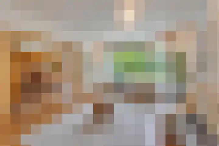 Berkenlaan 5 Rosmalen thumbnail 5