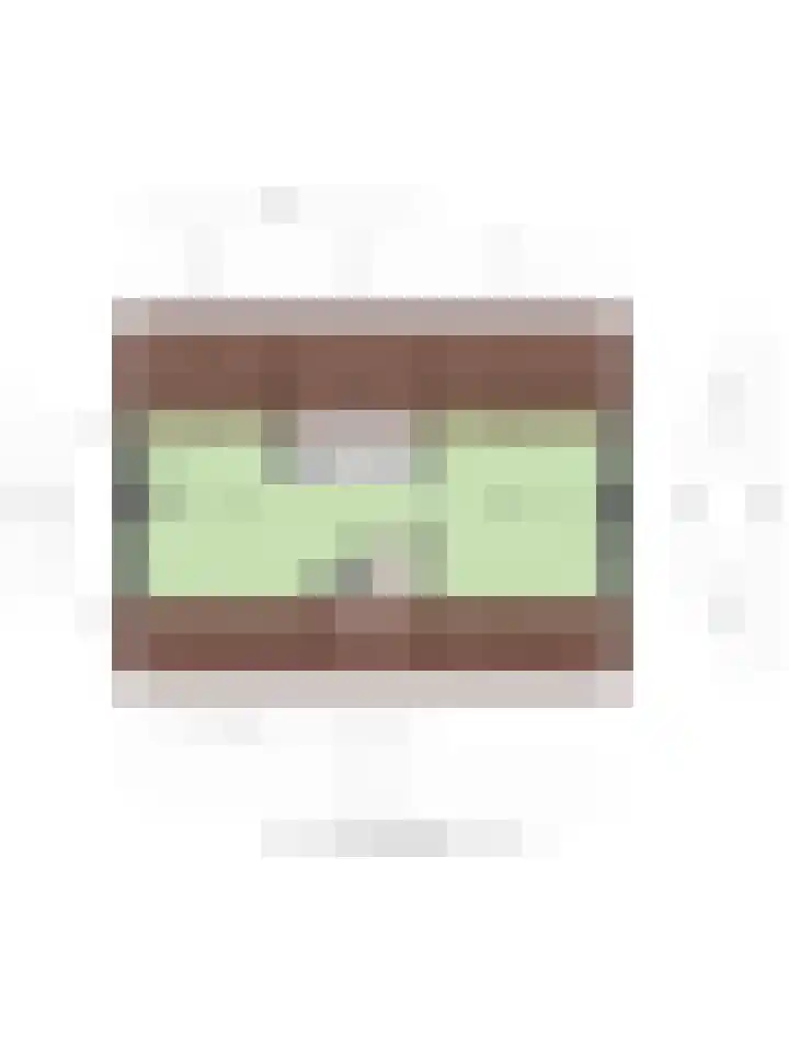 Berkenlaan 5 Rosmalen thumbnail 50