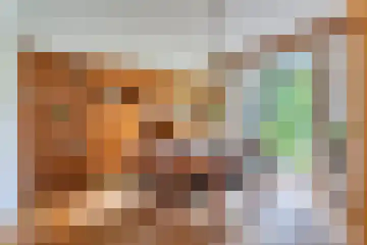 Berkenlaan 5 Rosmalen thumbnail 6