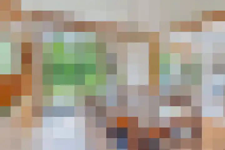 Berkenlaan 5 Rosmalen thumbnail 7