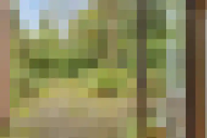 Berkenlaan 5 Rosmalen thumbnail 9