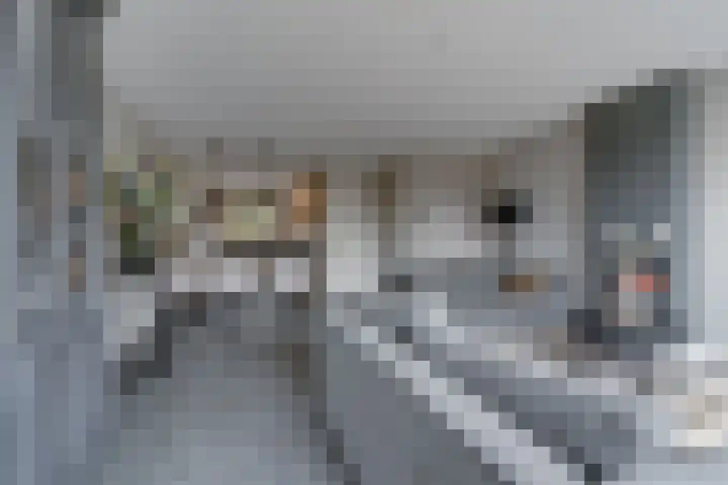 Berkenlaan 5 Woudenberg thumbnail 11