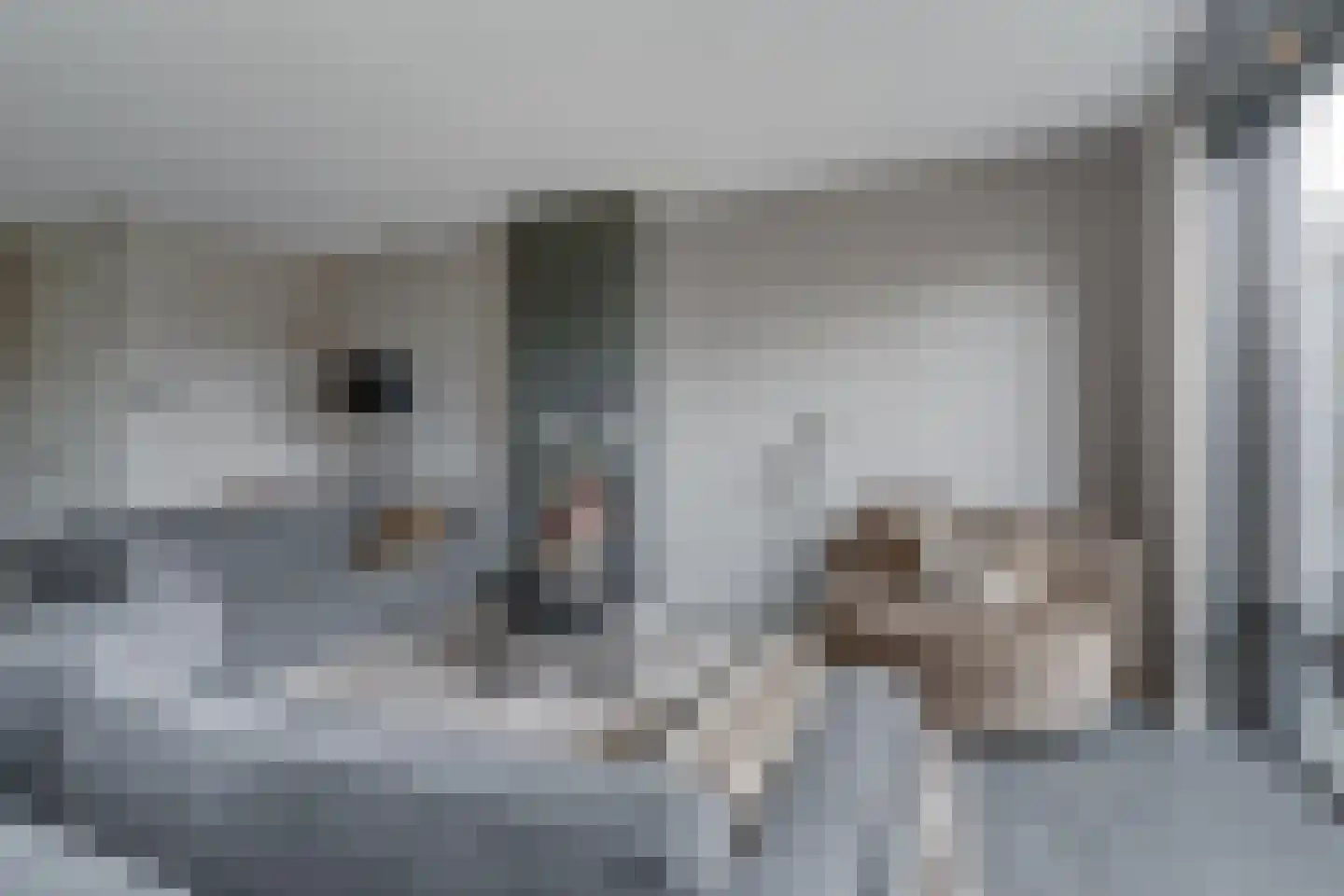 Berkenlaan 5 Woudenberg thumbnail 12