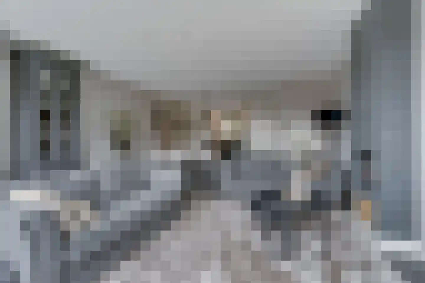 Berkenlaan 5 Woudenberg thumbnail 15