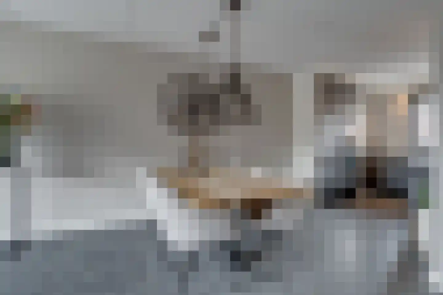 Berkenlaan 5 Woudenberg thumbnail 17