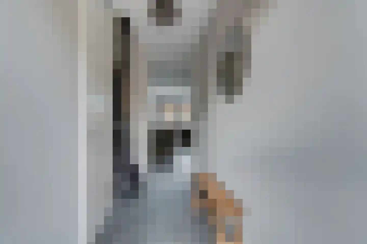 Berkenlaan 5 Woudenberg thumbnail 8