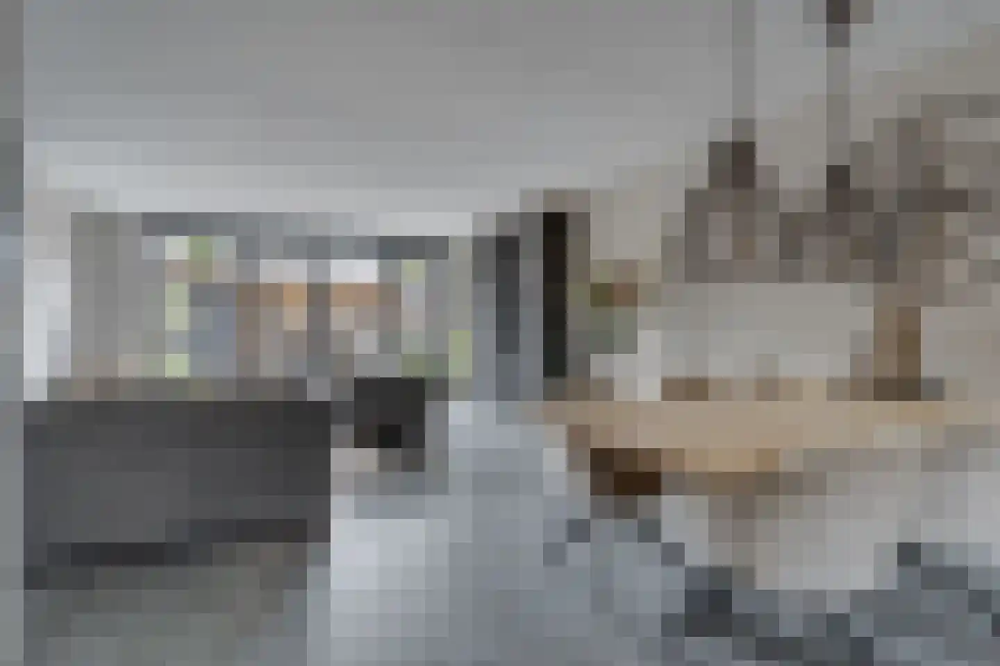 Berkenlaan 5 Woudenberg thumbnail 9