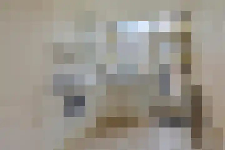 Berkenlaan 50 Woerden thumbnail 12
