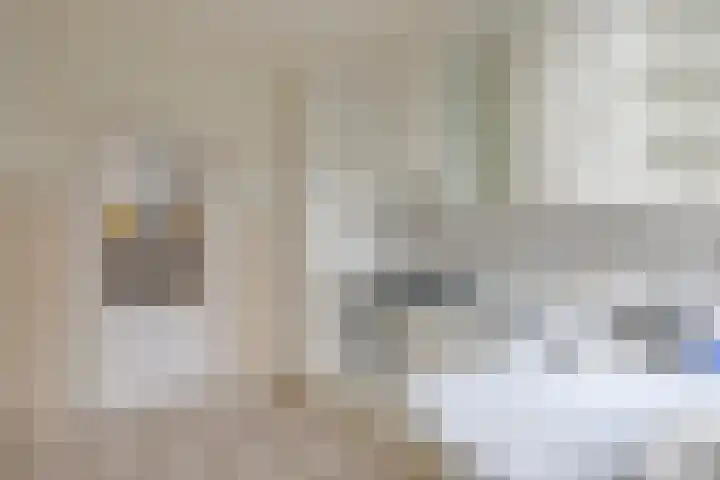 Berkenlaan 50 Woerden thumbnail 13