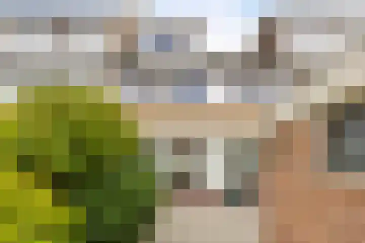 Berkenlaan 50 Woerden thumbnail 14