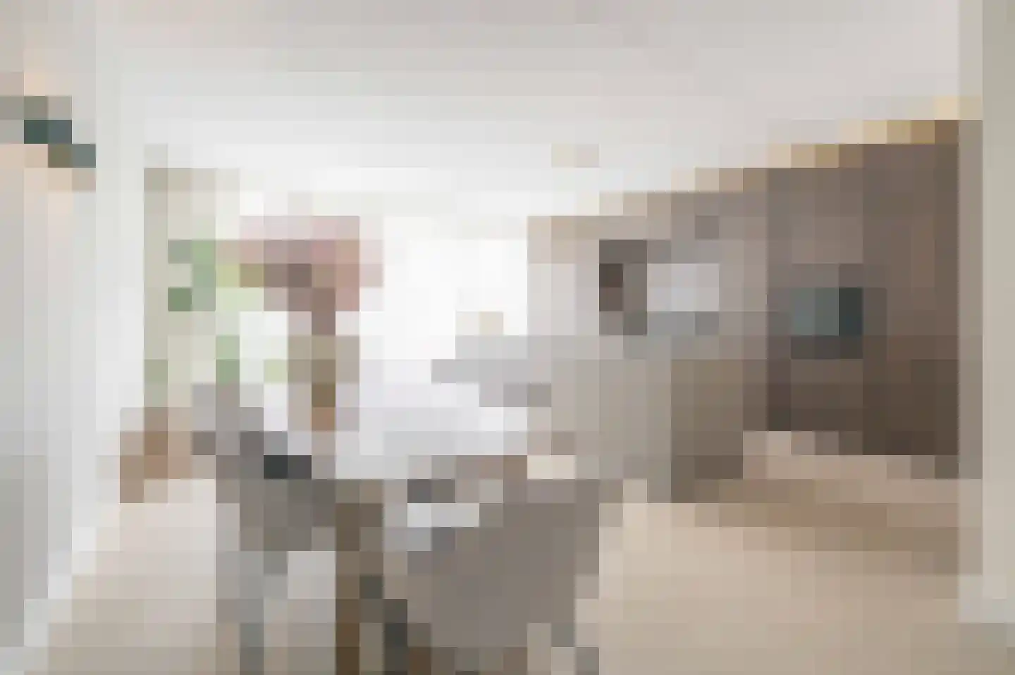 Berkenlaan 52 Bosschenhoofd thumbnail 16