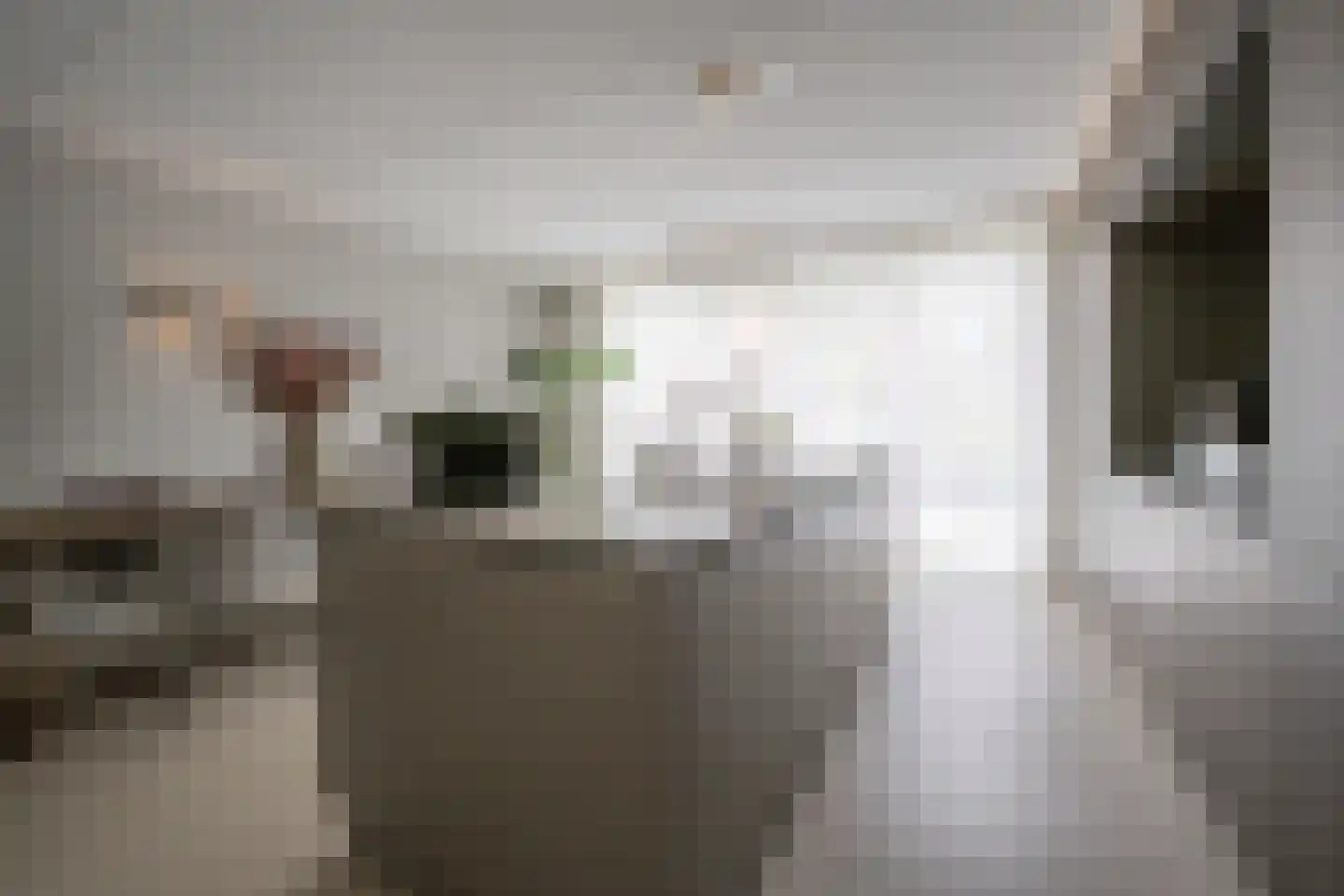 Berkenlaan 52 Bosschenhoofd thumbnail 17
