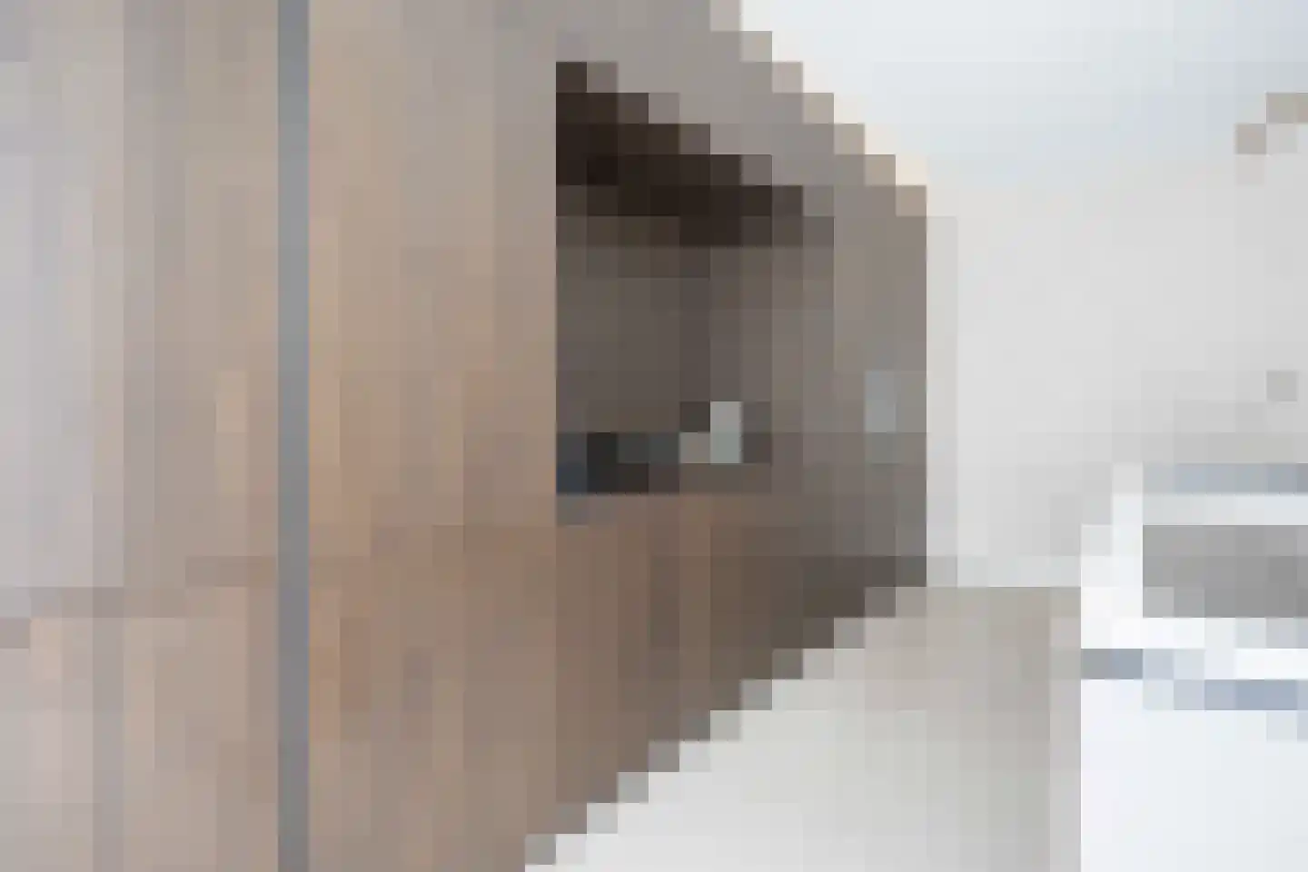Berkenlaan 52 Bosschenhoofd thumbnail 18